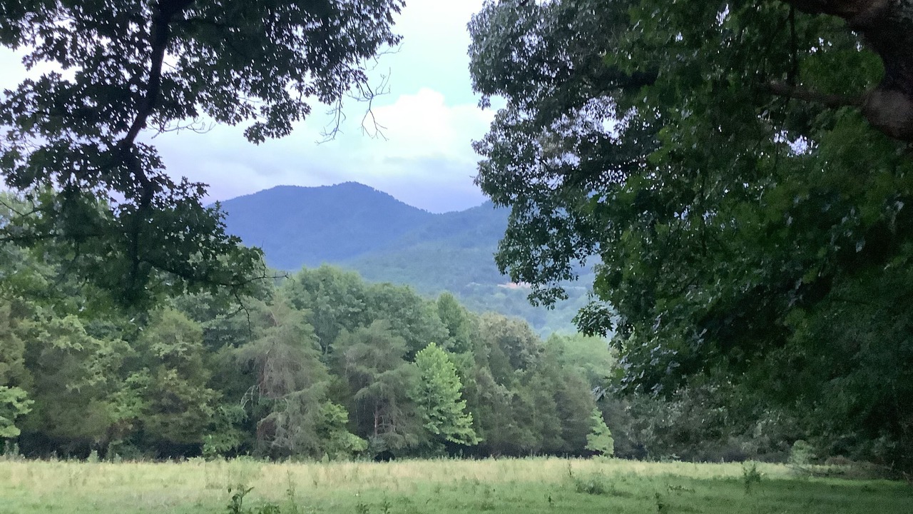 Photo of Others in Holmes Mill