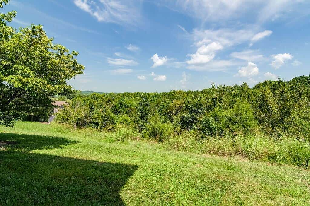 Photo of Others in Branson West