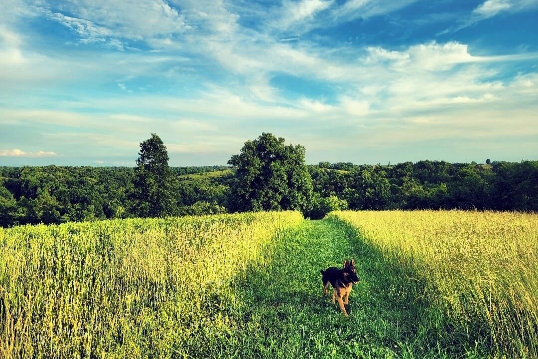 Photo of Outdoor in Jonesville