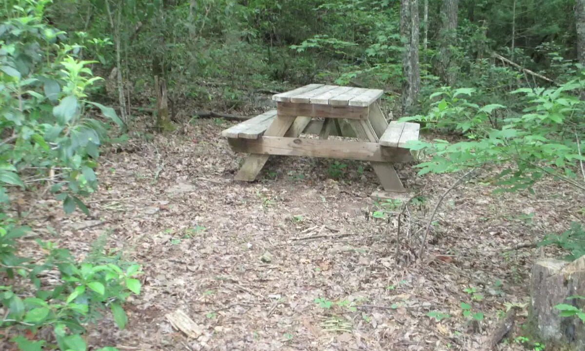Photo of Outdoor in Robbinsville