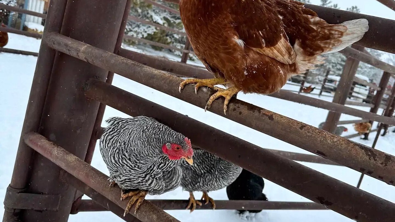 Photo of Outdoor in Arnold
