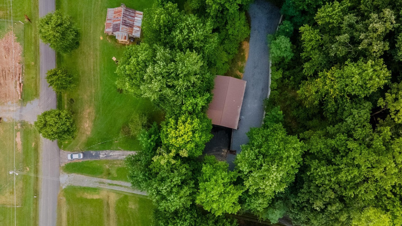 Photo of Outdoor in Smoky Mountains