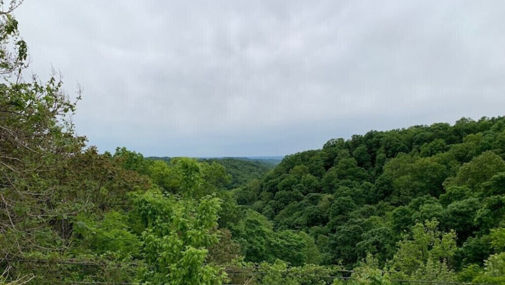 Photo of Outdoor in New Albany