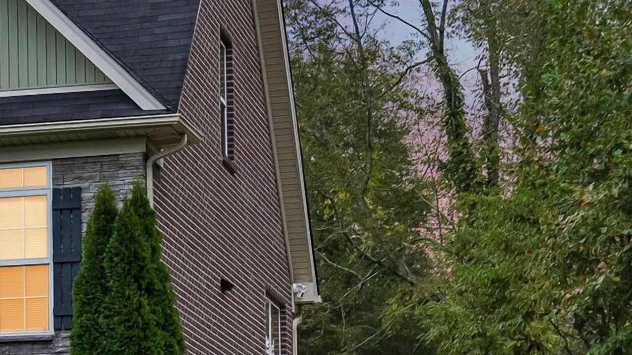 Photo of Outdoor in Waddy
