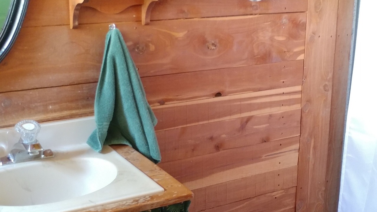 Photo of Bathroom in Shell Knob
