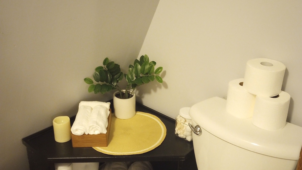 Photo of Bathroom in Lampe