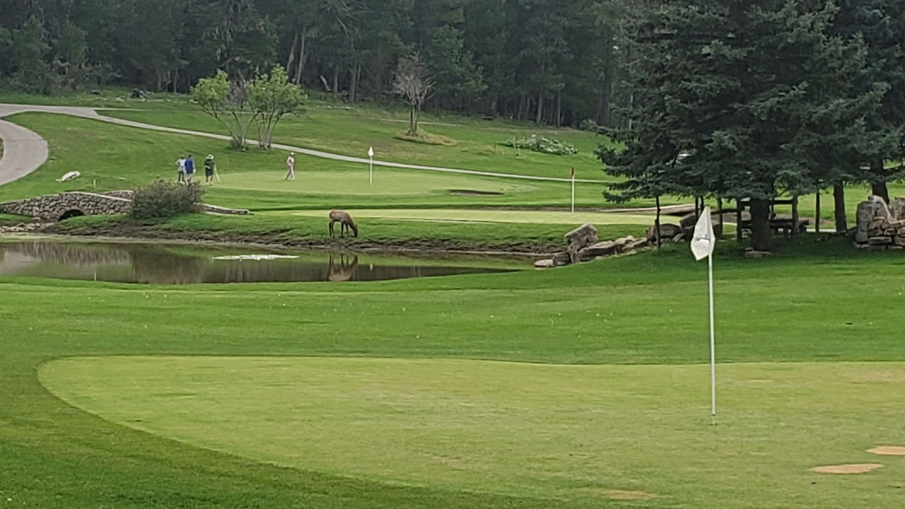 Photo of Others in Cloudcroft