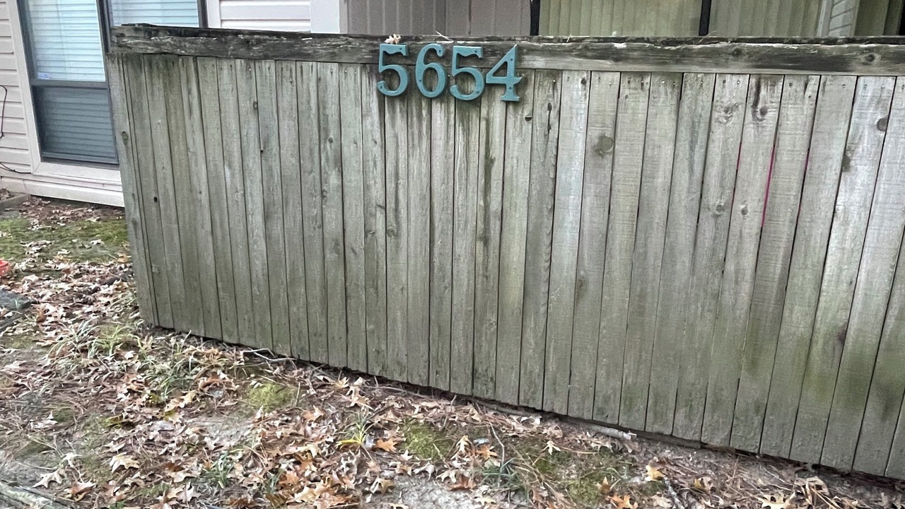 Photo of Outdoor in Memphis
