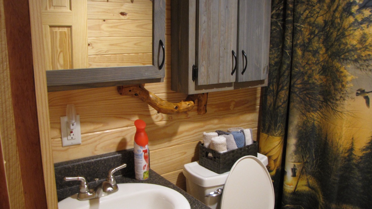Photo of Bathroom in Shell Knob