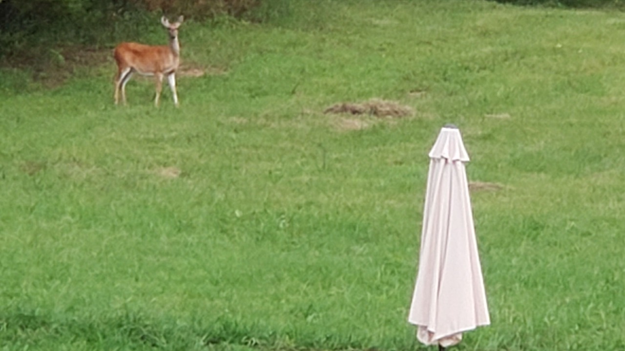 Photo of Outdoor in Benton