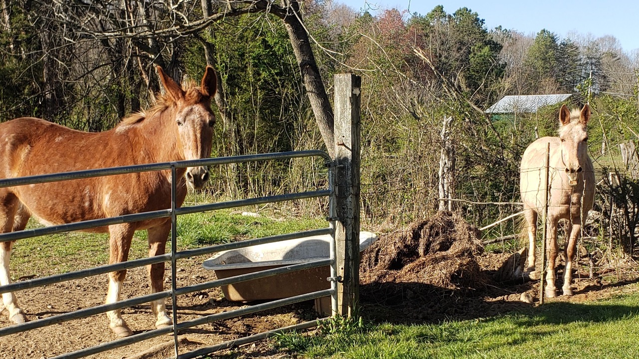 Photo of Outdoor in Benton