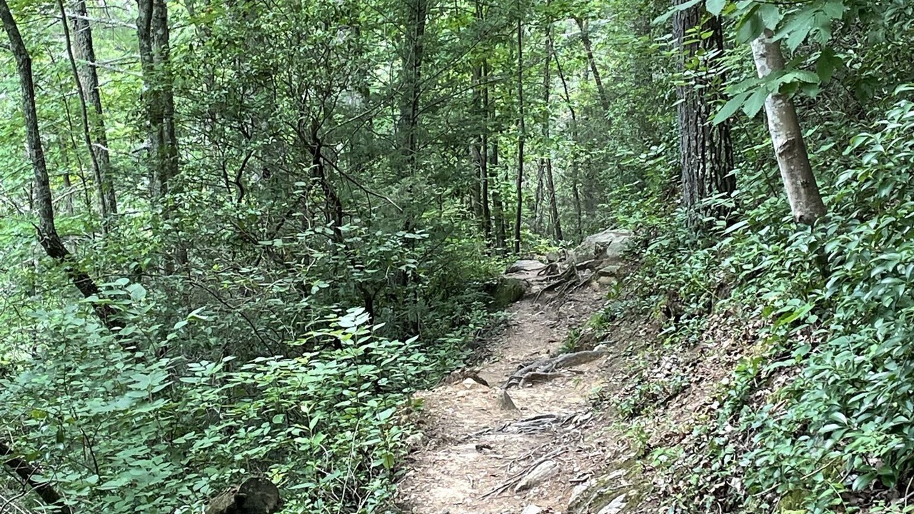 Photo of Outdoor in Etowah