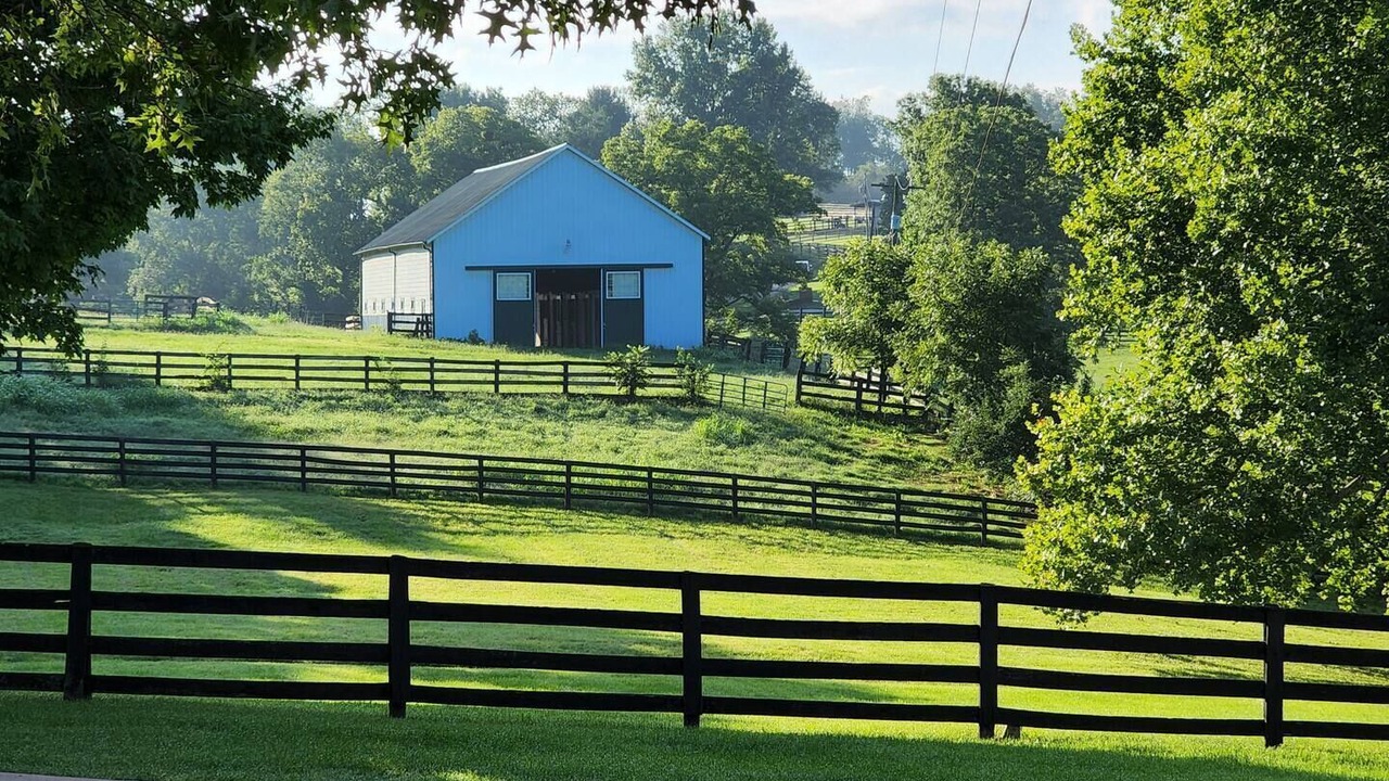 Photo of Others in Lexington