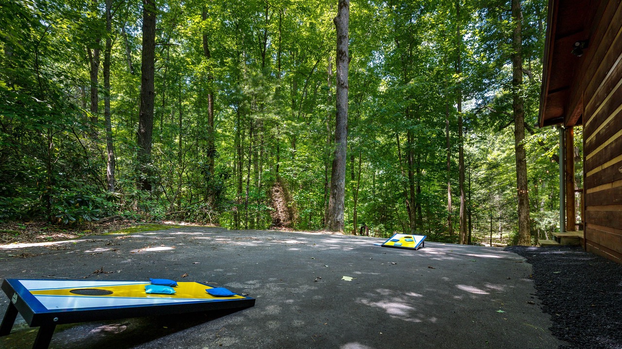 Photo of Outdoor in Townsend