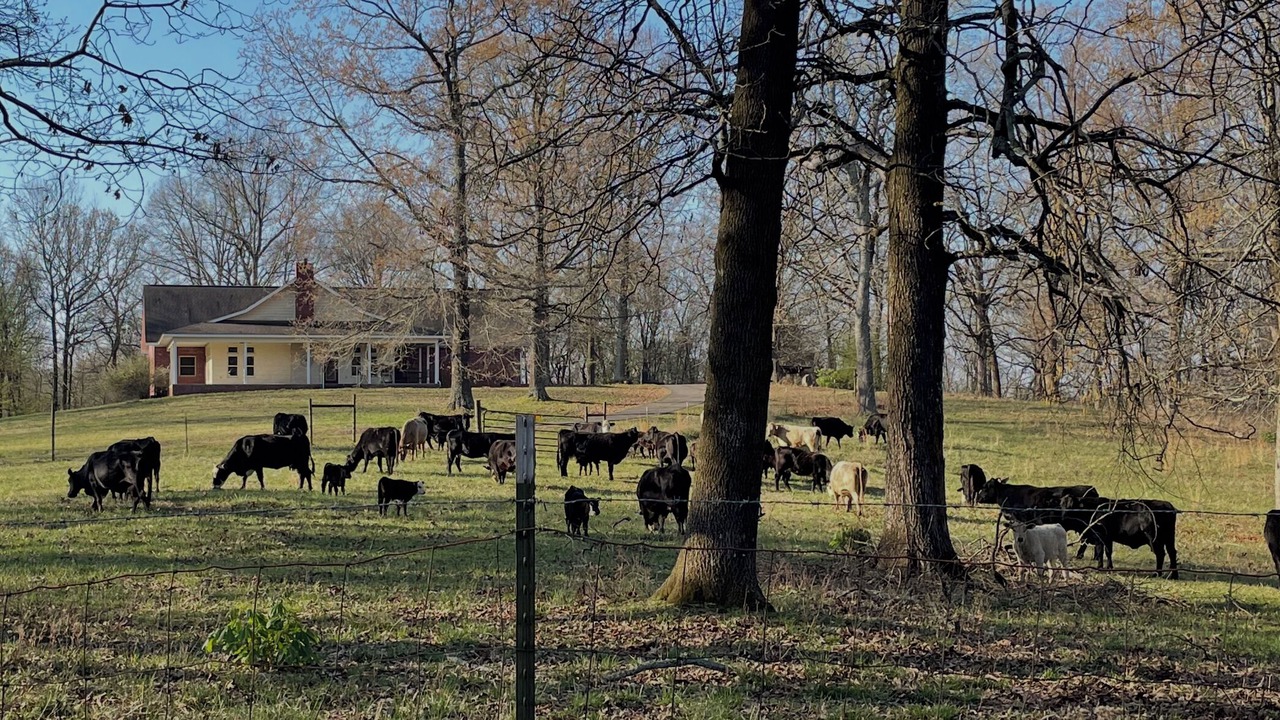 Photo of Others in Jones Mills