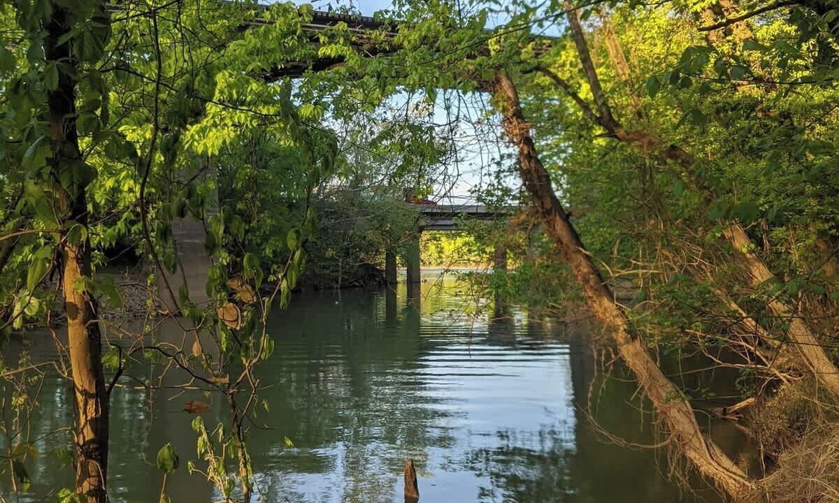 Photo of Others in Chattanooga