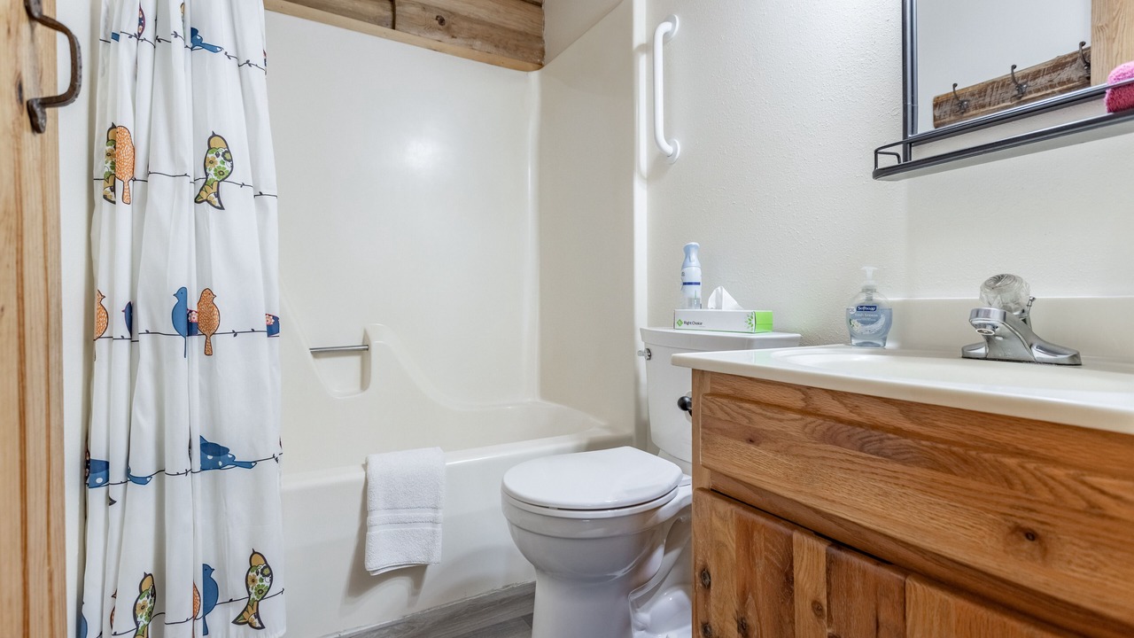 Photo of Bathroom in Shell Knob