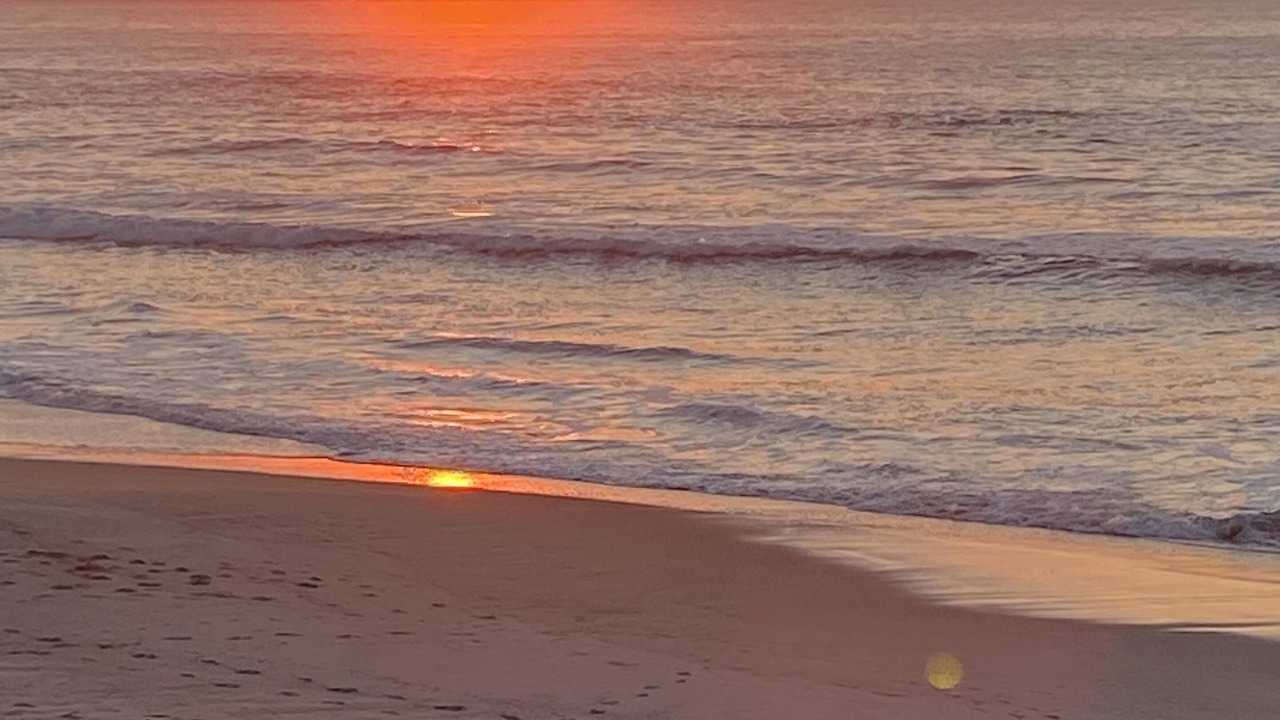 Photo of Others in Surf City