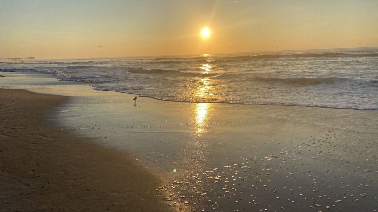 Photo of Others in Surf City