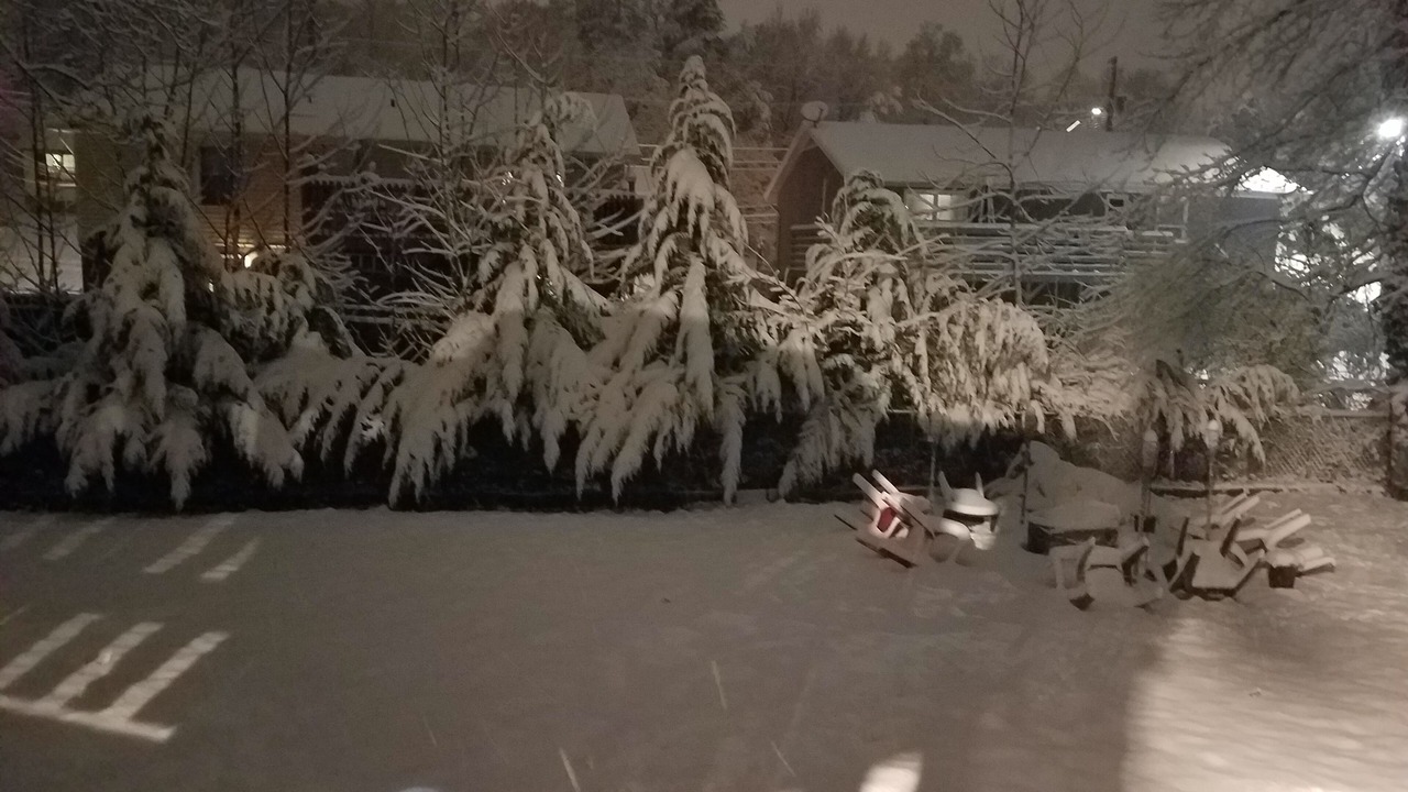 Photo of Outdoor in Ashley Oaks