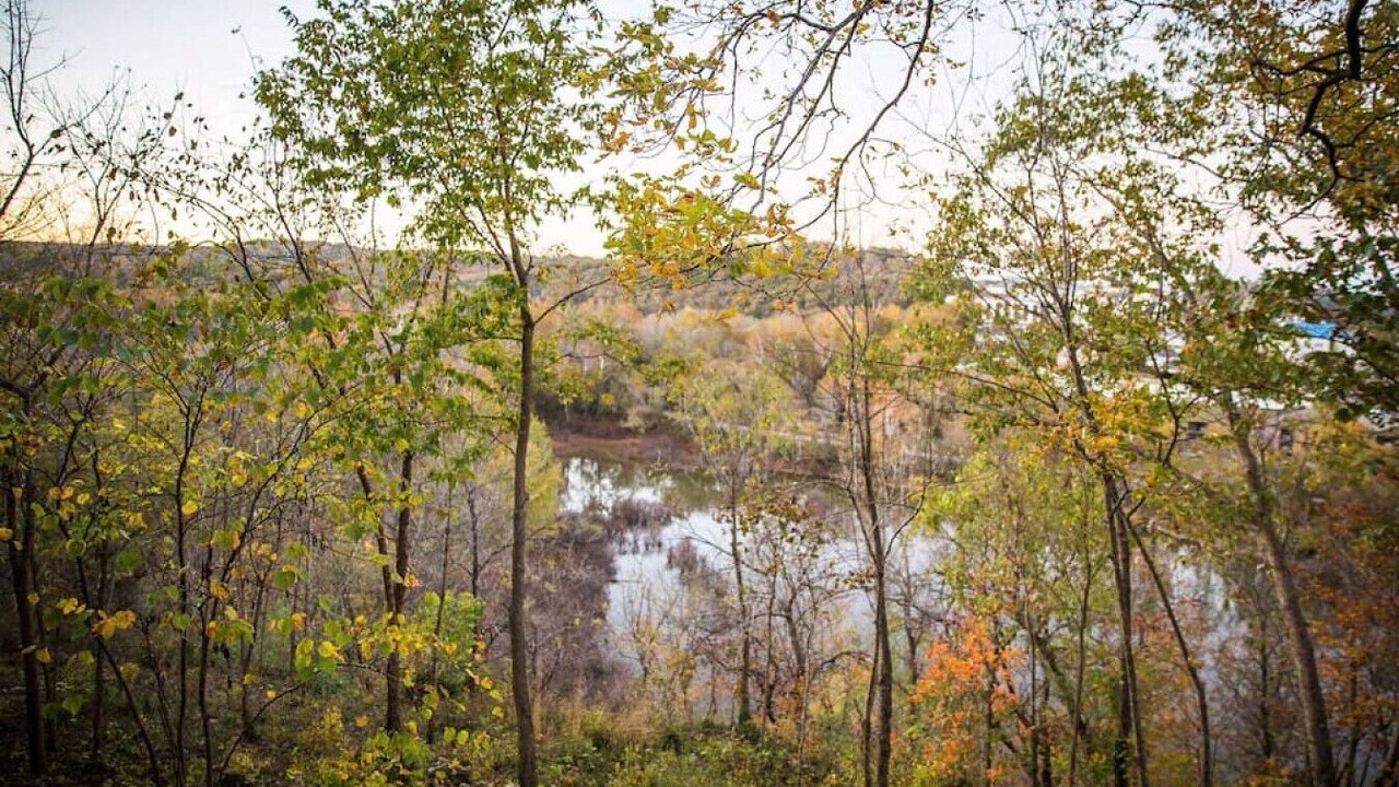 Photo of Outdoor in Downtown Branson