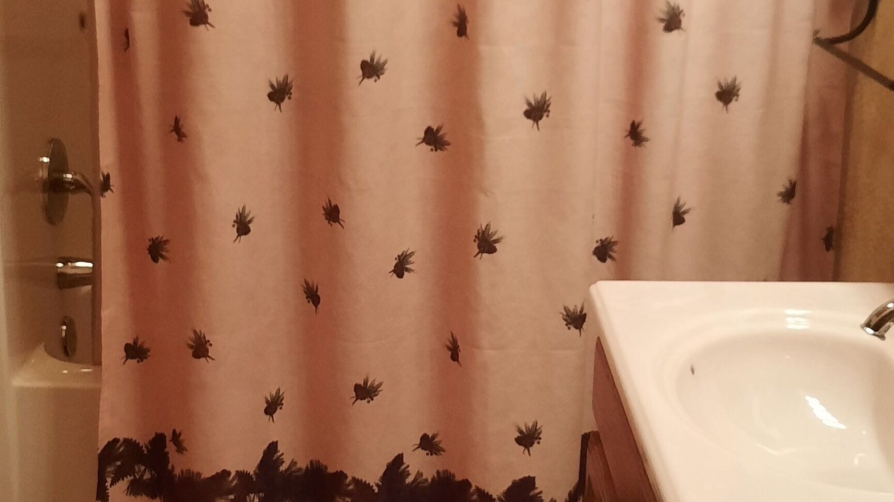 Photo of Bathroom in Shell Knob