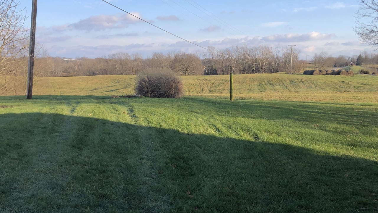 Photo of Outdoor in Sparta