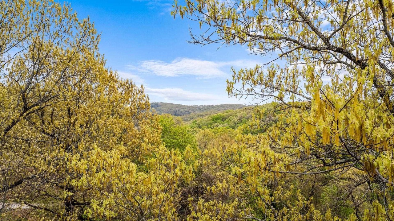 Photo of Others in Notch Estates