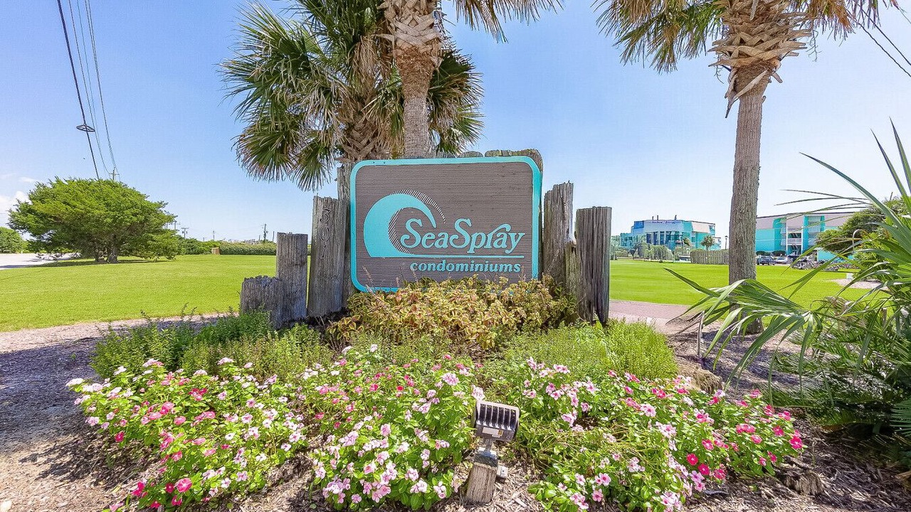 Photo of Outdoor in Morehead City