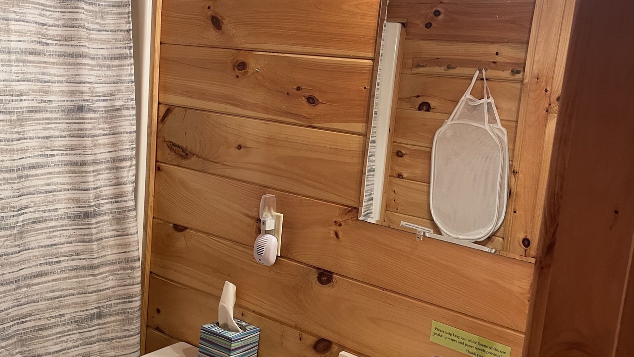 Photo of Bathroom in Shell Knob