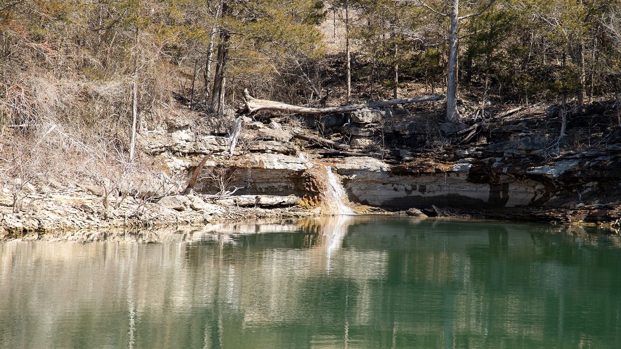 Photo of Others in Shell Knob