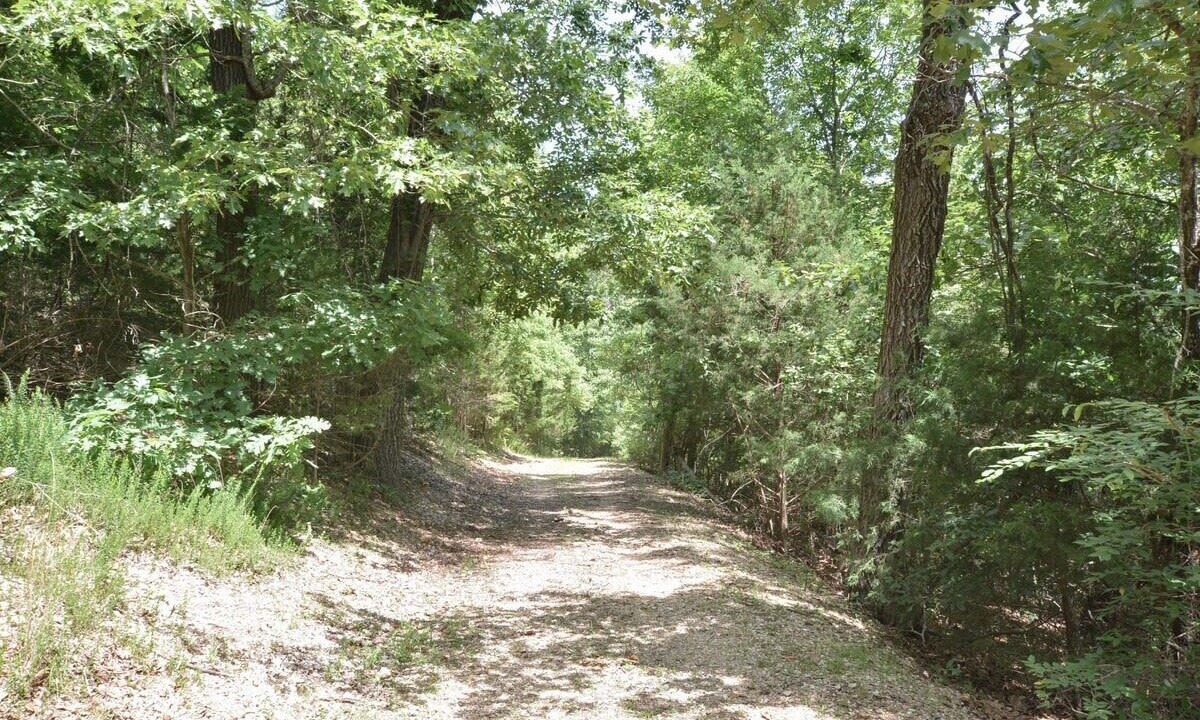 Photo of Outdoor in Notch Estates