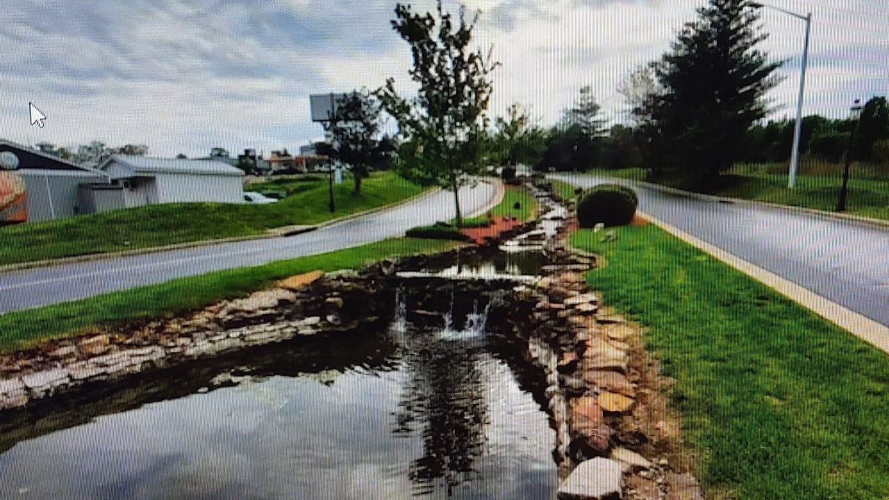 Photo of Others in Table Rock