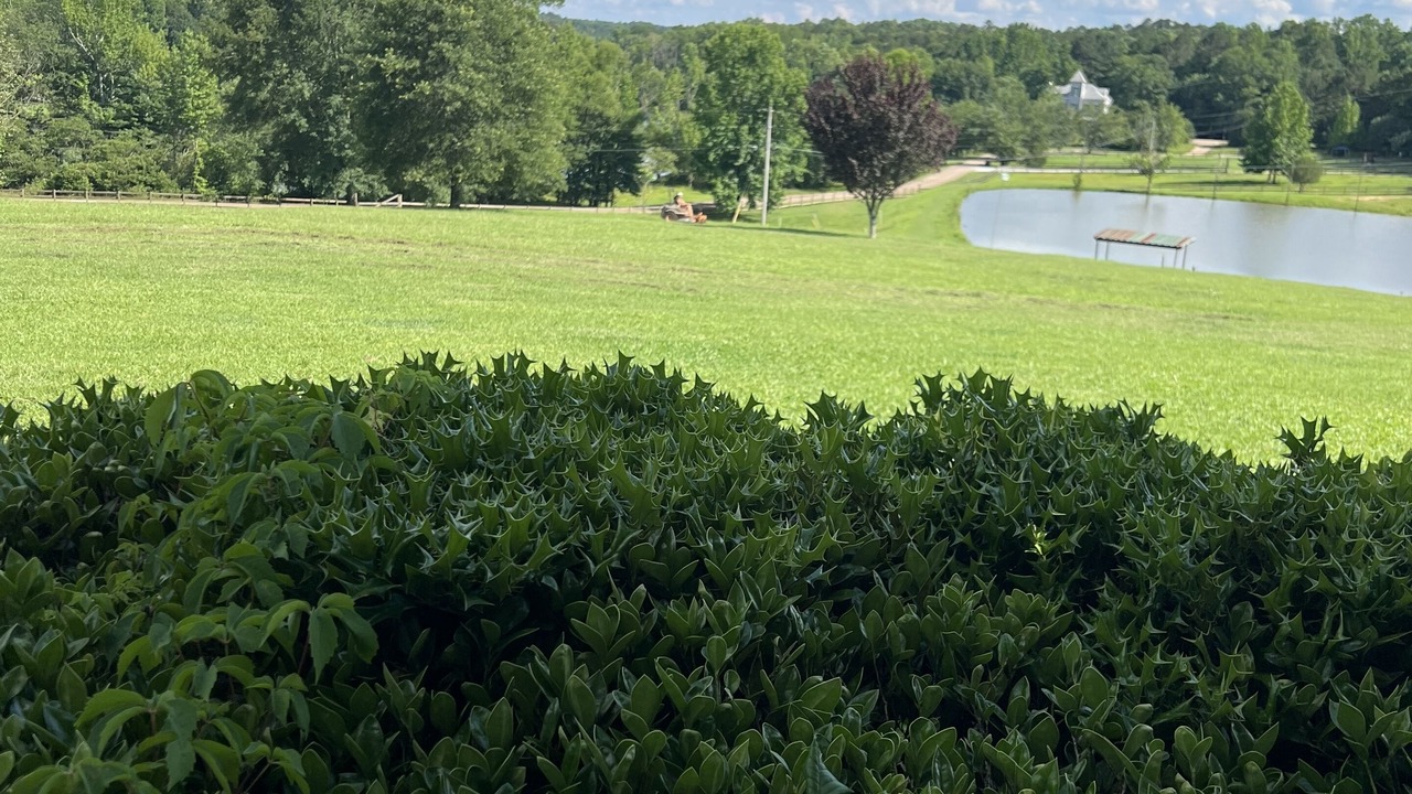 Photo of Outdoor in Langston Mile Village