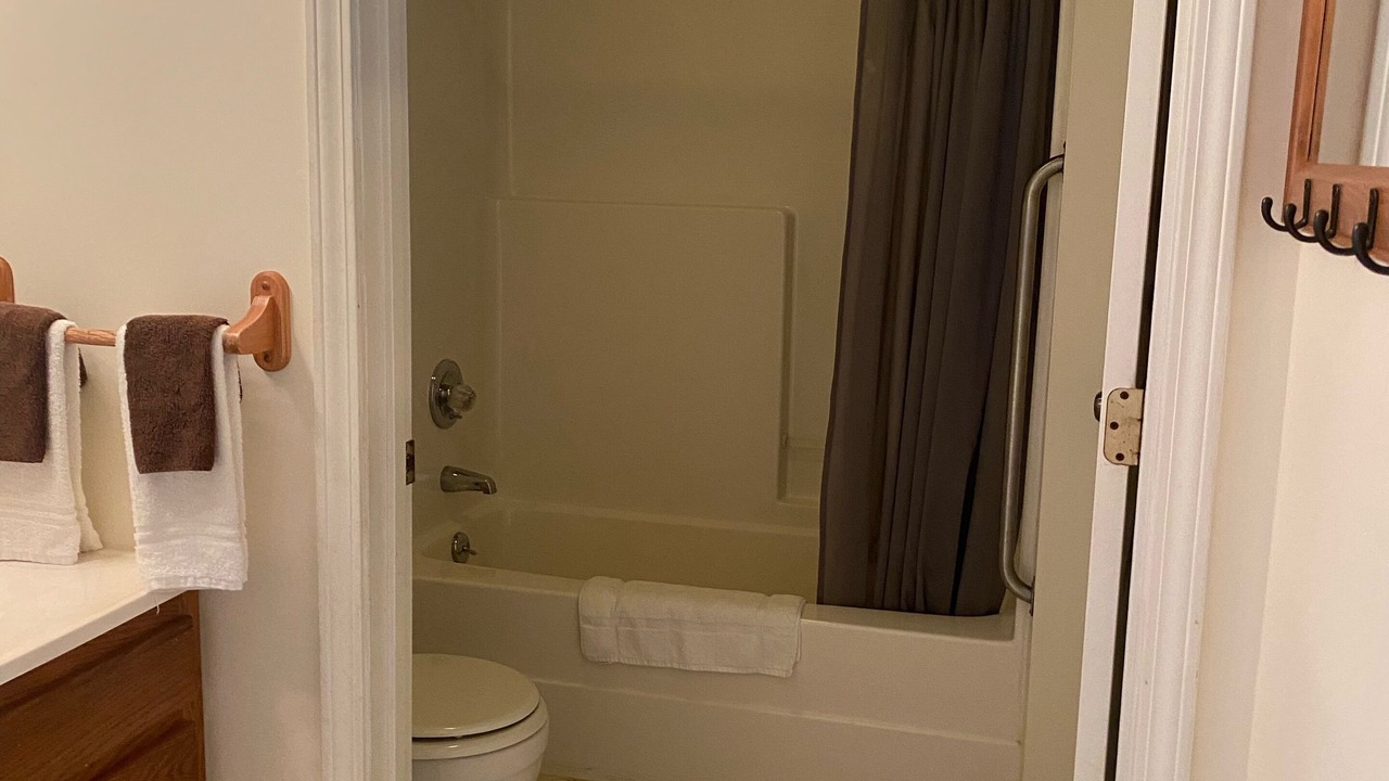 Photo of Bathroom in Wappapello