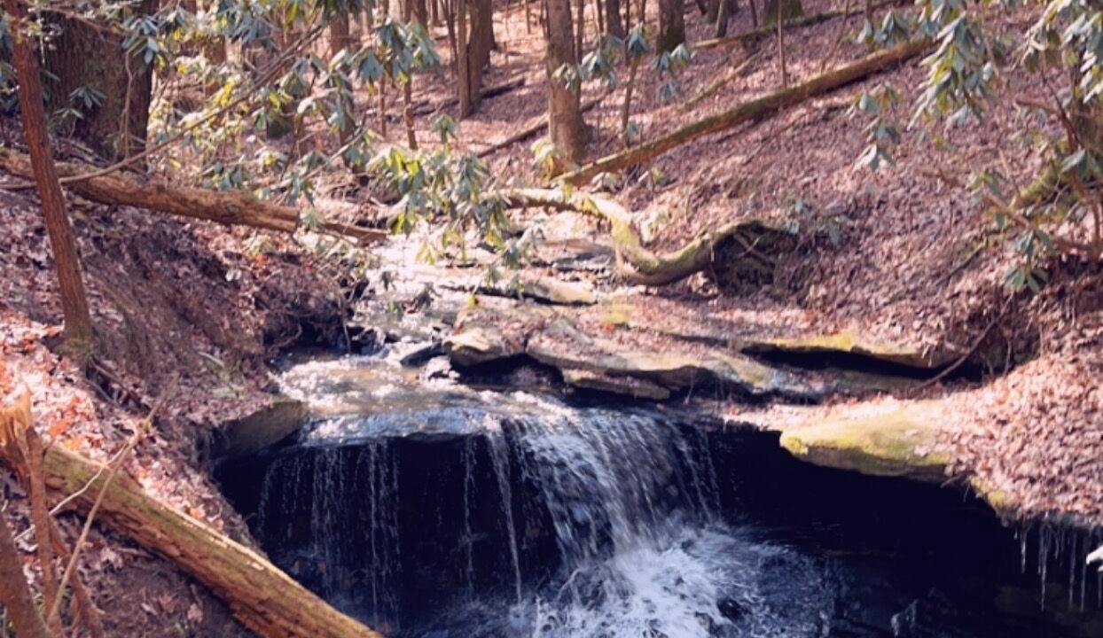 Photo of Outdoor in Bronston