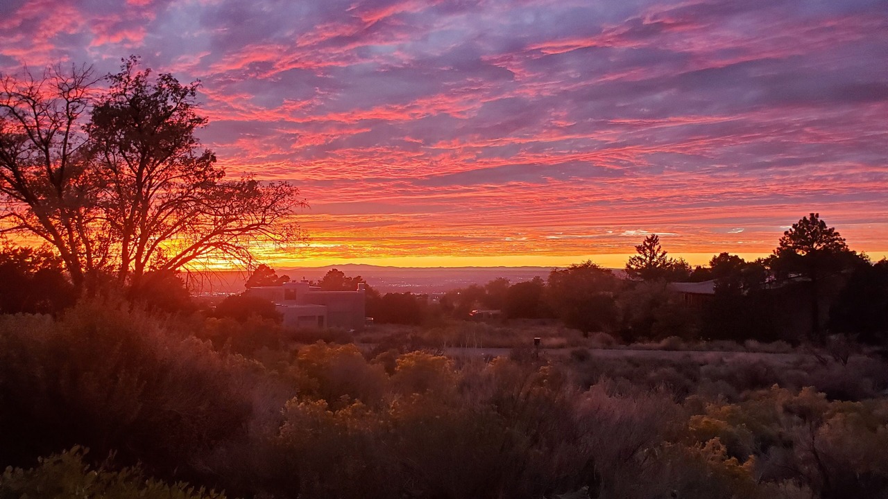 Photo of Others in Sandia Heights South