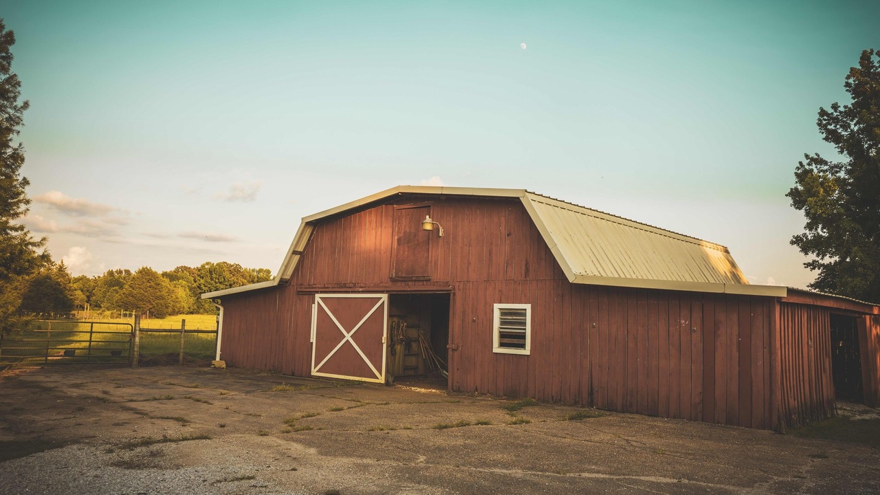 Photo of Outdoor in Belden