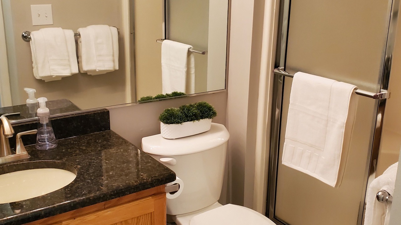 Photo of Bathroom in Indian Point