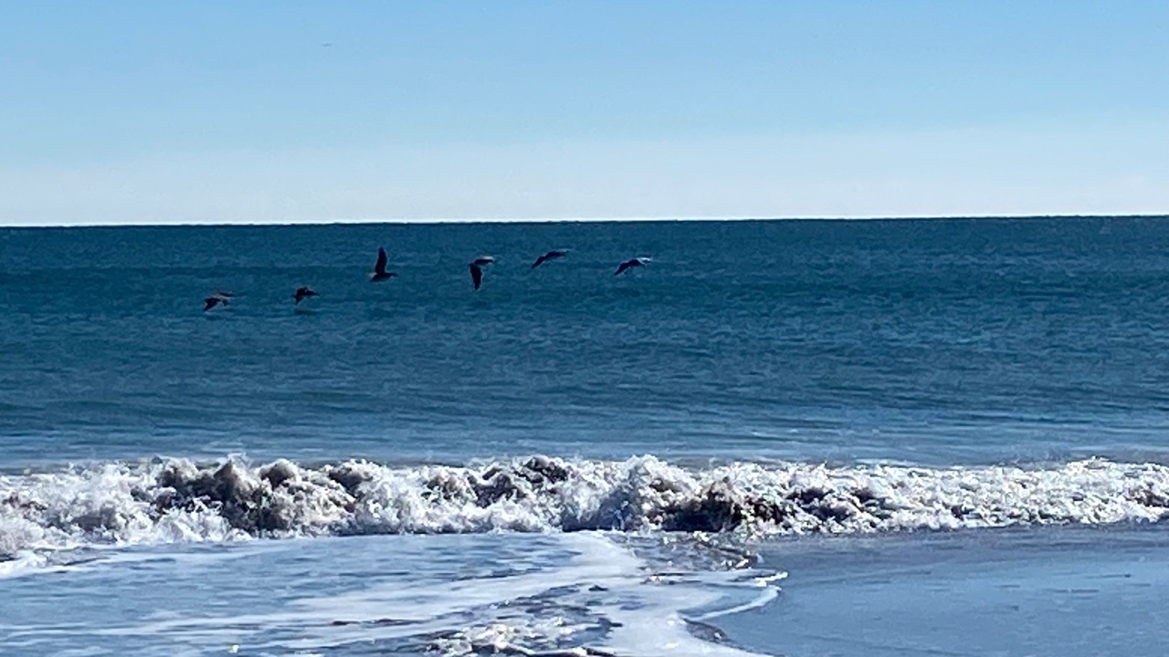 Photo of Others in Emerald Isle