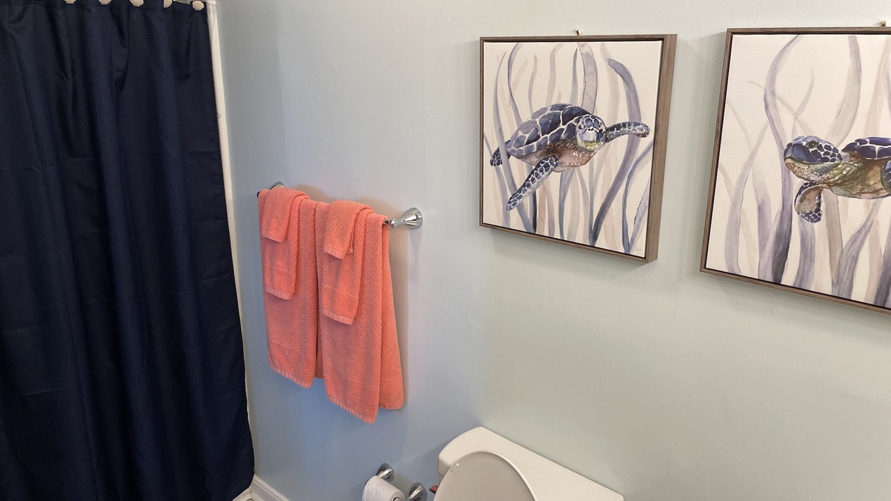Photo of Bathroom in Sneads Ferry