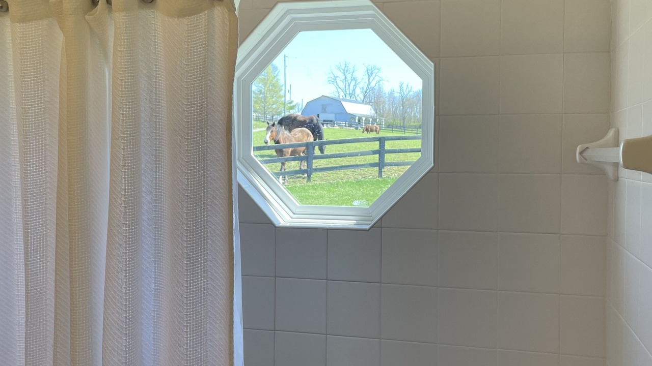 Photo of Bathroom in Simpsonville