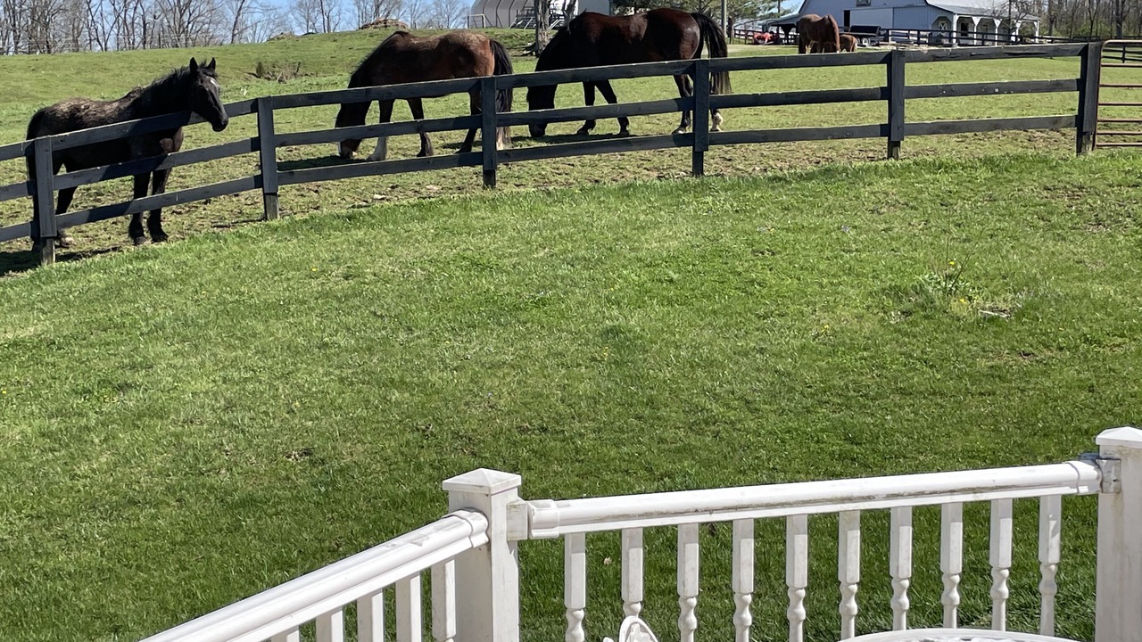 Photo of Others in Simpsonville
