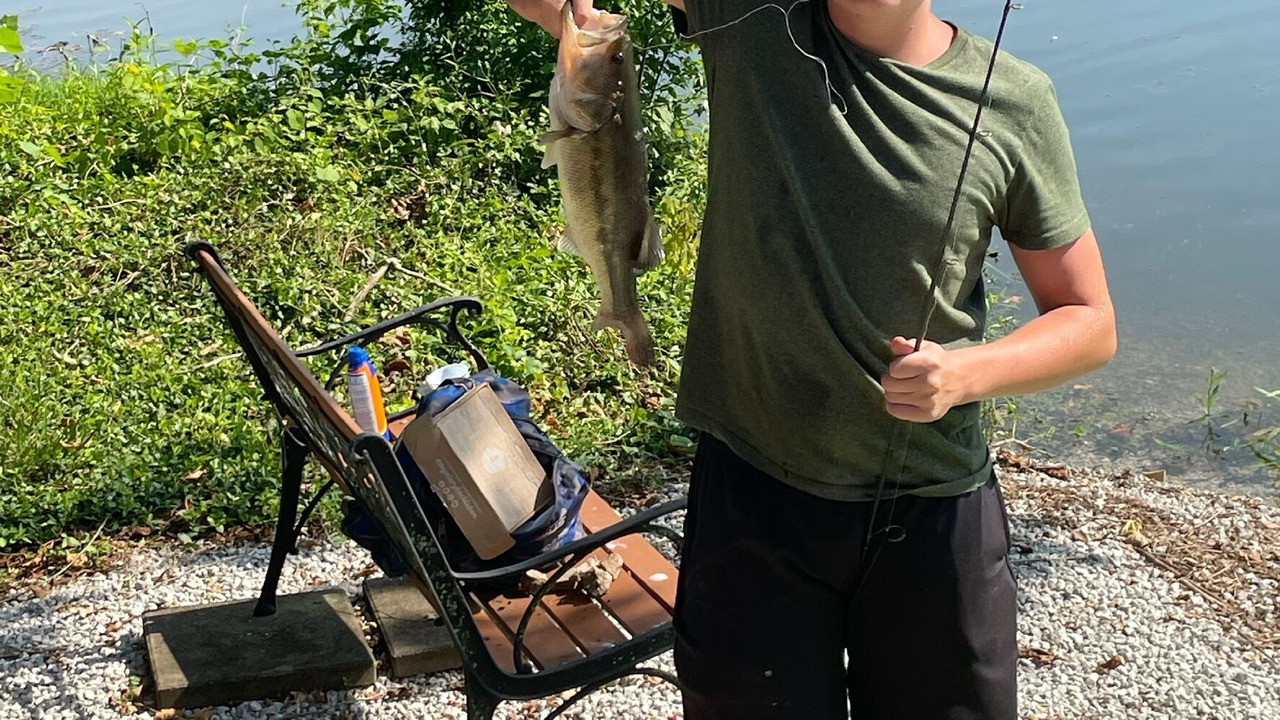 Photo of Others in Branson