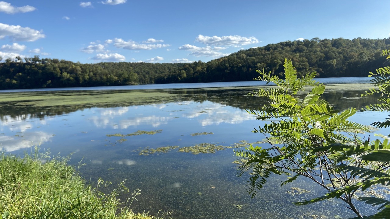 Photo of Outdoor in Branson