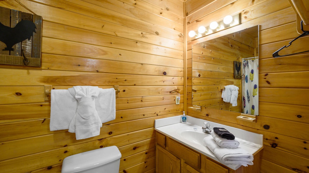 Photo of Bathroom in Sevierville