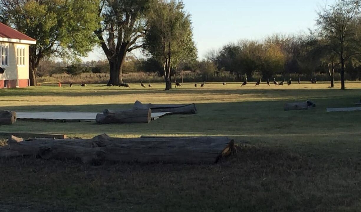 Photo of Outdoor in Stafford County