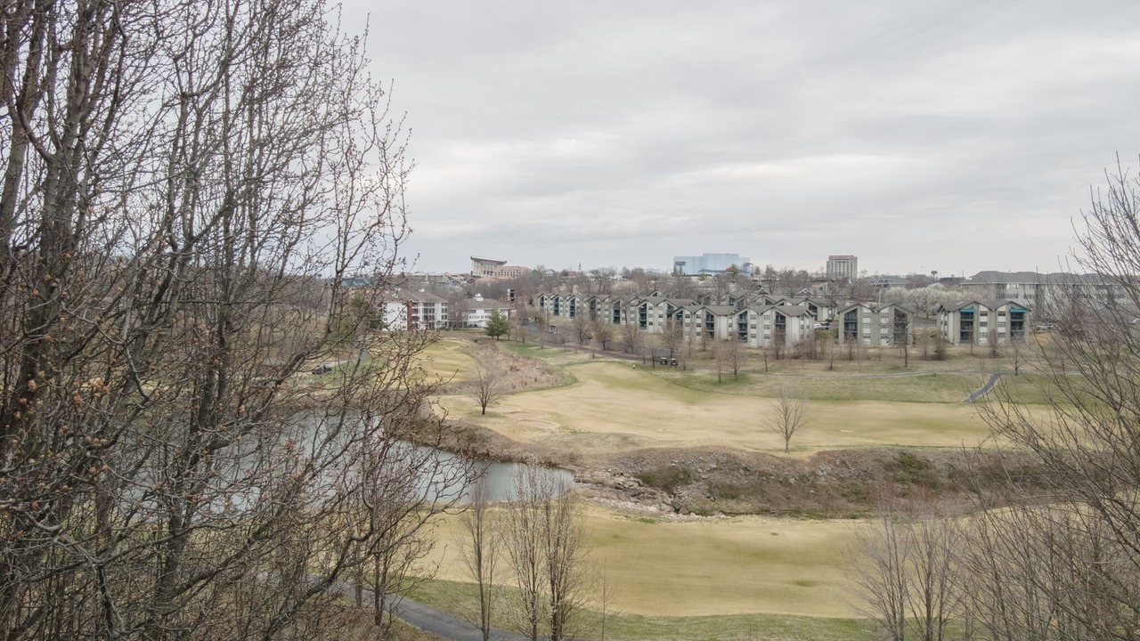 Photo of Others in Branson