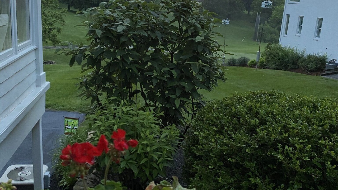 Photo of Outdoor in Prospect