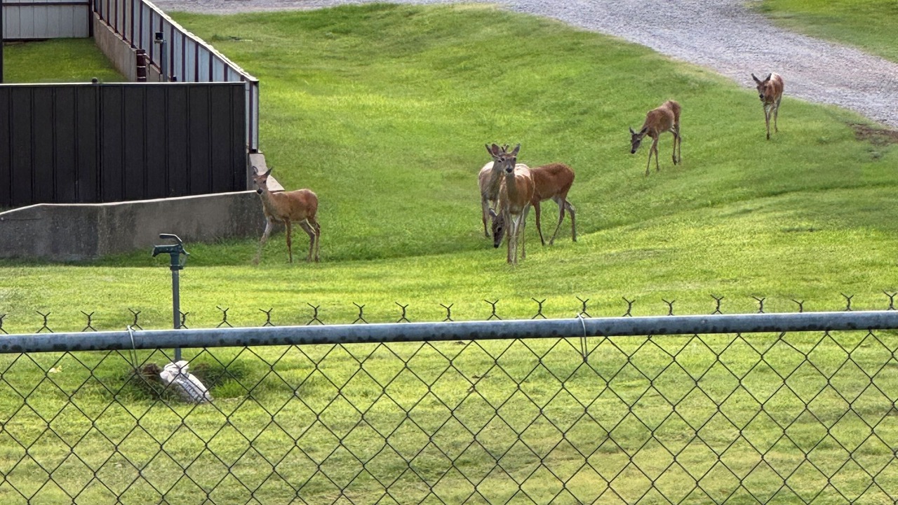 Photo of Others in Custer County